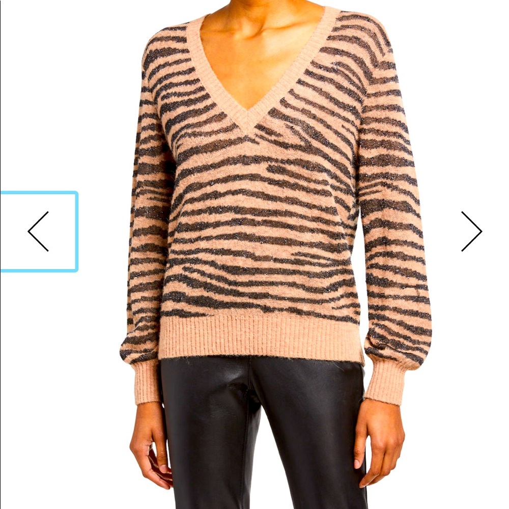 Joie Inira Tiger Stripe V-Neck Sweater